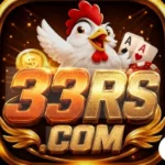 33RS Game