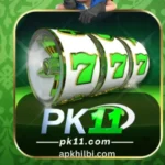 PK11 Game