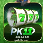 PK11 Game